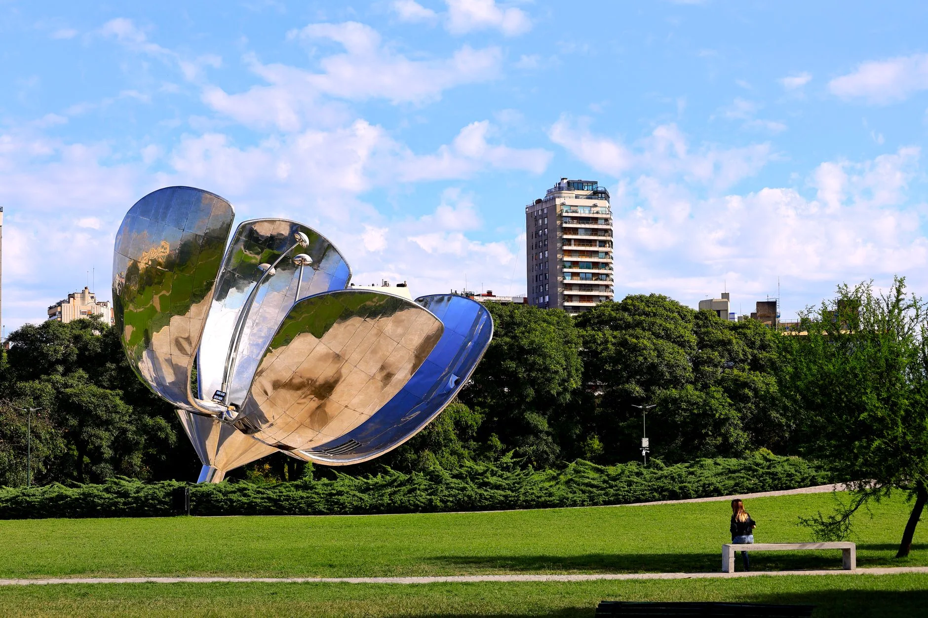 floralis generica in buenos aires park